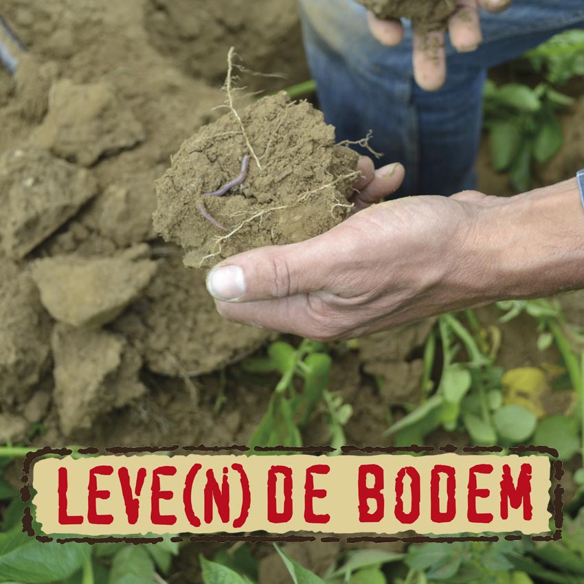 Demodag Leve(n)de Bodem – Boomkwekerij Louis van den Broek in Zundert (Nl.) 